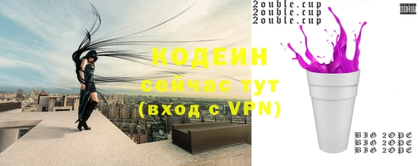 a pvp Няндома
