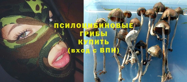 a pvp Няндома