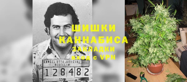 винт Нягань