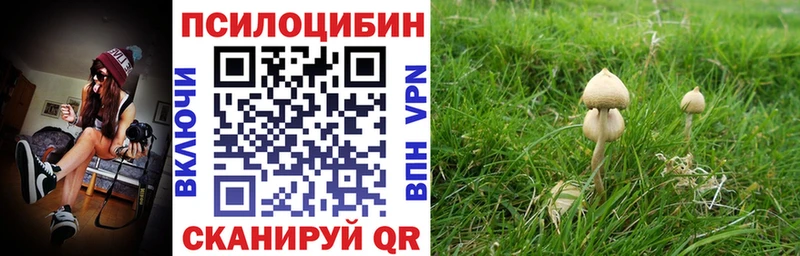 Галлюциногенные грибы Cubensis  Свирск 